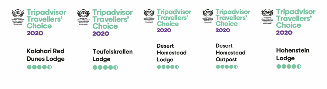 Tripadvisor Travelers Choice Award 2020
